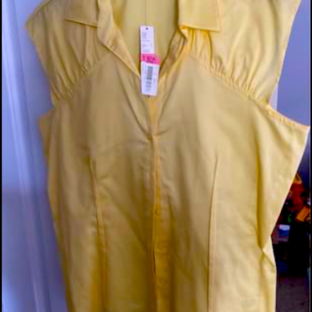 Antonio Melani, Large Yellow Top